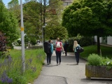 Tn Bild (1)